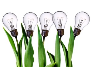 ISO 14001 - kurs dla Auditorów i Pełnomocników Zarządu